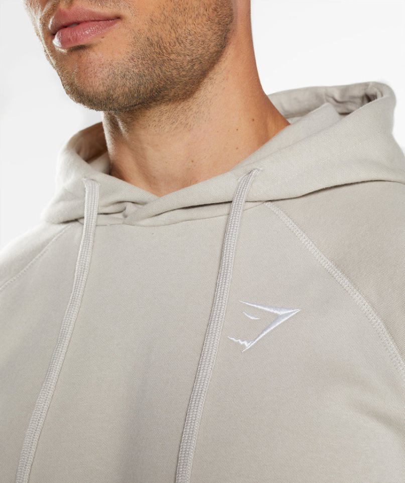 Men's Gymshark Crest Hoodie Light Grey | NZ 4EGVQT